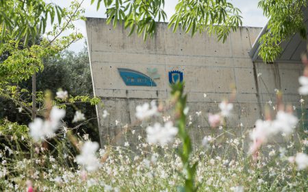 בית איל בעמ' בית שאן, מקום שהוא בית של כולם.